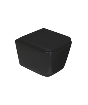 Զուգարանակոնք ներկառուցվող BLACK MATT GUESS