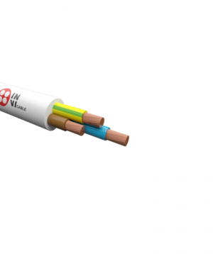 ՈՒԺԱՅԻՆ ՊՂՆՁԵ ՄԱԼՈՒԽ 3*0.75մմ, ԻՆ-ՎԻ