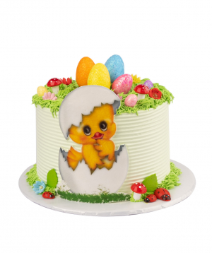 Cake `Chick` №2