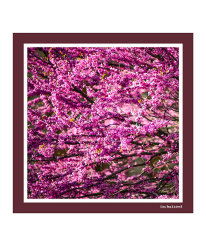 Scarf «Blooming Tree» 90 x 90 cm