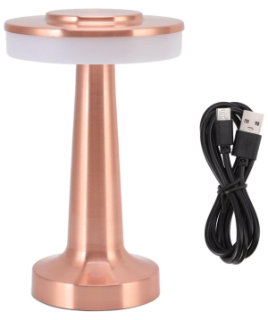 LED Lamp «Gift Store» wireless №1317