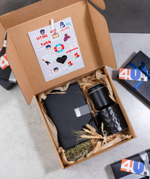Gift box «THE BOX» for the programmer №663