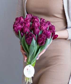 Тюльпаны ''Baghramyan Varder'' фиолетовые, 19 шт