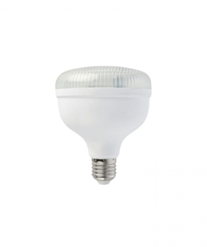 LED լամպ 50W/6400K/E27 Crystal Horoz