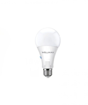 LED լամպ Wellmax 25W/6500K/E27/A90/Daylight