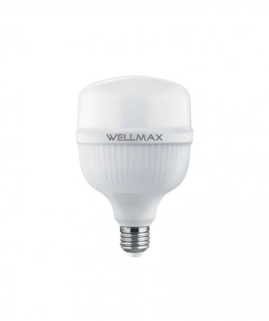 LED լամպ Wellmax 50W (E27 4000K)