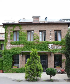 Новый год в Грузии «Tiflis Hotel» для 1 человека, в 1-местном номере