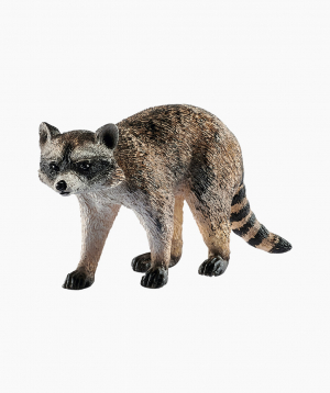Schleich Animal Figurine «Raccoon»
