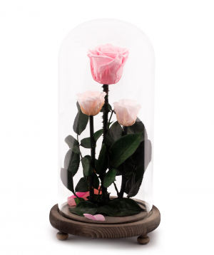 Roses `EM Flowers` eternal pink 28 cm in a flask