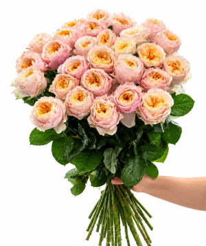 Peony rose «Harmony Flowers» peach-pink, 70 cm, 29 pcs
