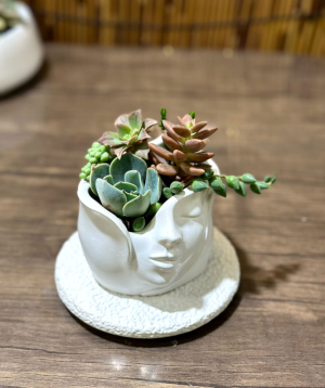 Растение «Greenarium» №53