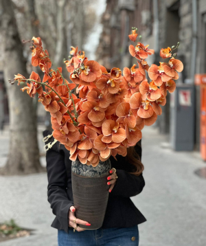 Букет «Cataleya» с орхидеями  №74