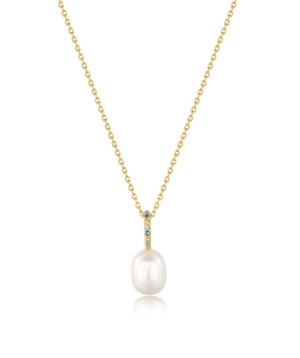 Silver necklace «Ania Haie» N054-01G