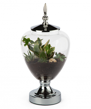Florarium `Goblet` with succulents