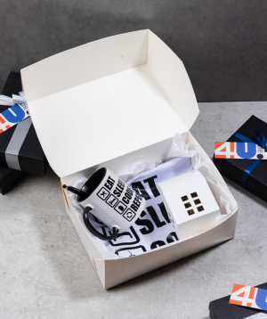 Gift box «THE BOX» for the programmer №660