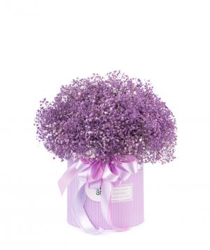 Composition `Mendoza` with gypsophila (dried flowers)