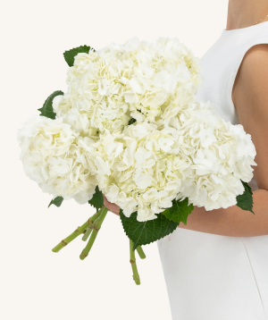 Dubai. bouquet №106 with hydrangeas
