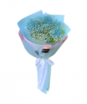 Bouquet `Angita` with gypsophila