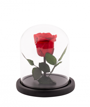 Rose `EM Flowers` eternal red 17 cm in a flask