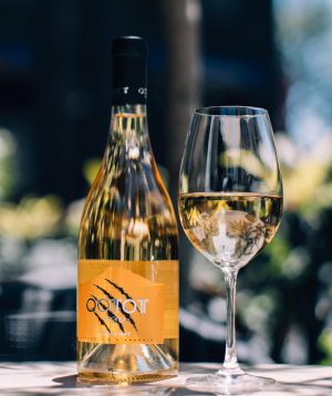 Սպիտակ չոր գինի «Qotot» Ոսկեհատ