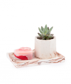Plant ''Eco Garden'' succulent and candle №4