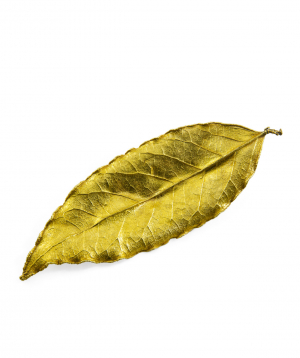 Brooch `CopperRight` laurel leaf