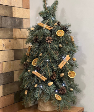 Christmas tree composition «Punj» №49 with natural fir branches