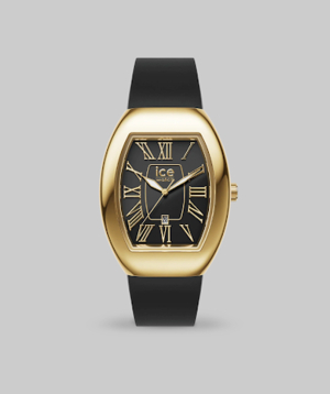 Часы «Ice-Watch» Ice Boliday Dome Black Gold / 024048