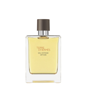 Perfume «Hermes» Terre D'Hermes, Eau Intense Vetiver, for men, 50 ml