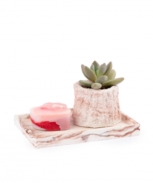 Plant ''Eco Garden'' succulent and candle №6
