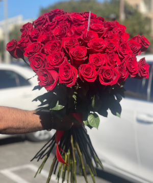 Los Angeles: 51 roses 031