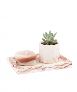 Plant ''Eco Garden'' succulent and candle №3