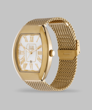 Watch «Ice-Watch» Ice Boliday Dome White Gold / 024487