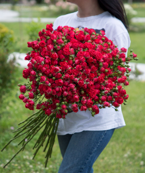 Кустовые розы ''Молокьо'' красные, 90 см