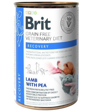 Dog and cat food «Brit Veterinary Diet» for recovery, 400 g