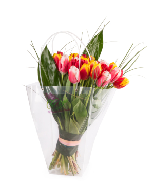 Bouquet `Franconville` with tulips