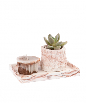 Plant ''Eco Garden'' succulent and candle №10