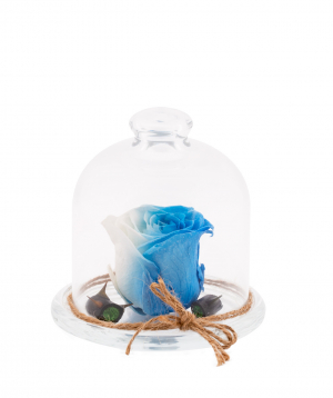 Rose `EM Flowers` eternal white-blue 10 cm in a flask