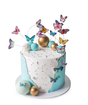 Bento cake ''Butterfly fireworks''