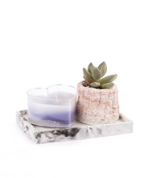 Plant ''Eco Garden'' succulent and candle №1