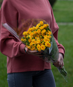 Кустовые розы «Рапидс» желтые, 50 см