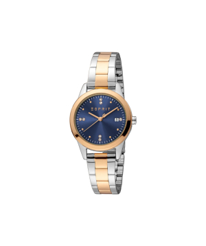 Wristwatch «Esprit» ES1L239M3105