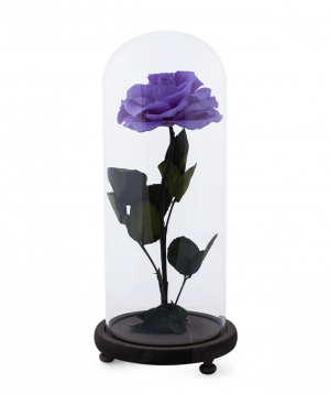Роза `EM Flowers` вечная фиолетовая 33 см