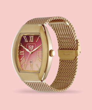 Часы «Ice-Watch» Ice Boliday Dome Pink Gold / 024488