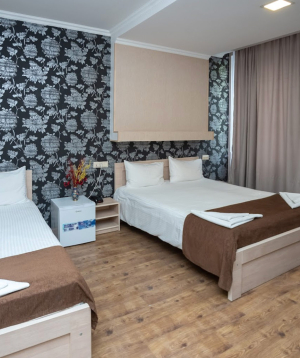 Новый год в Грузии «Tiflis Hotel» для 1 человека, в 3-местном номере