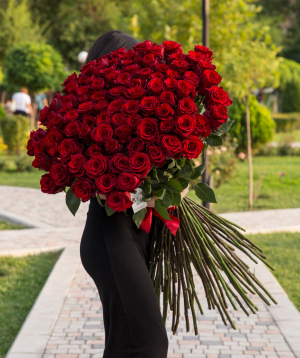 Վարդեր Էկվադորի «Explorer» կարմիր 101 հատ, 100 սմ