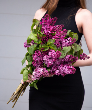 Bouquet «Baghramyan» with lilacs, 1 bunch