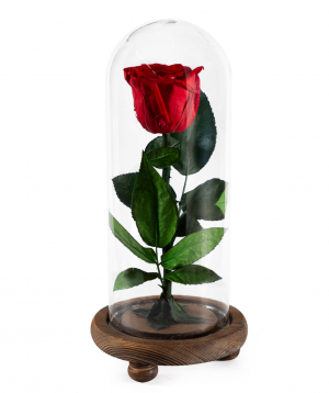 Rose `EM Flowers` eternal red 26 cm