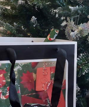 Ադվենտ օրացույց «Blue Moon» X