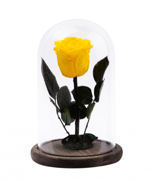 Rose `EM Flowers` eternal 21 cm